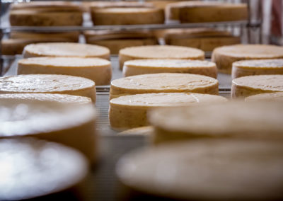 Démoulés, nos fromages arrivent dans notre cave d’affinage et y séjournent minimum 28 jours.