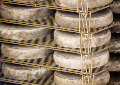 Après de nombreux soins (lavage, frottage, retournement), nos fromages dévoilent leur croute grisée.